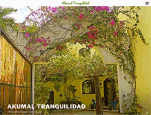 Tablet Screenshot of akumaltranquilidad.com